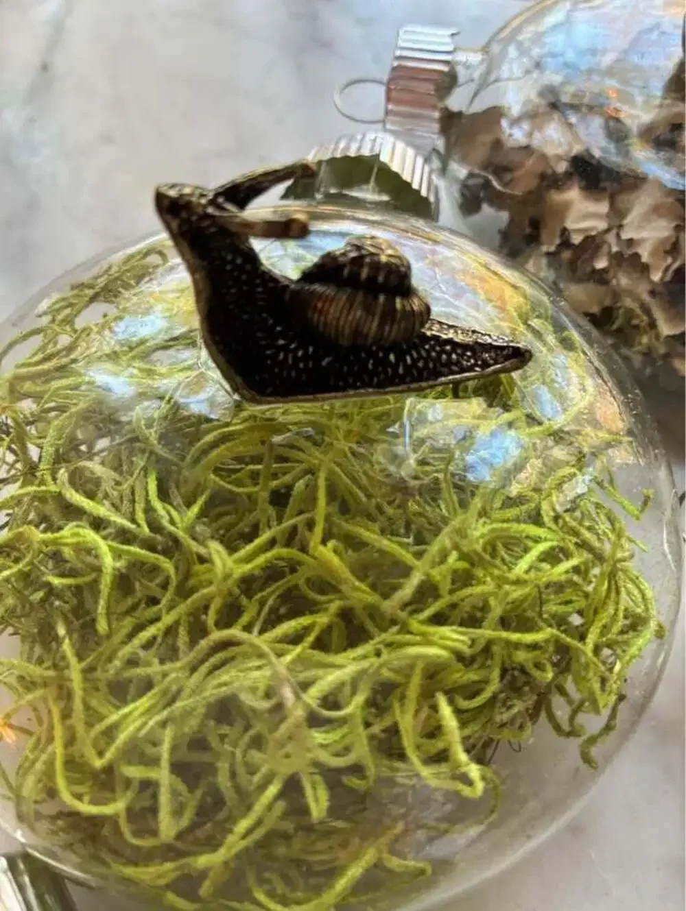Cottagecore moss & (one )snail ornament set of 4